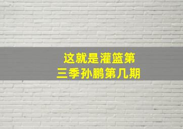 这就是灌篮第三季孙鹏第几期