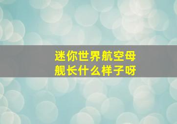 迷你世界航空母舰长什么样子呀