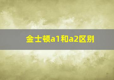 金士顿a1和a2区别