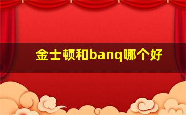 金士顿和banq哪个好