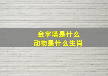 金字塔是什么动物是什么生肖