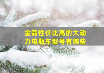 金箭性价比高的大动力电瓶车型号有哪些