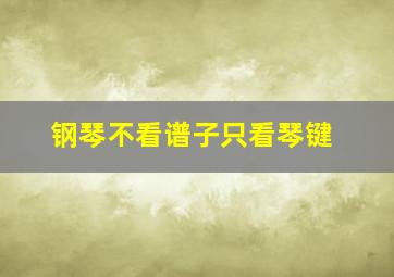 钢琴不看谱子只看琴键