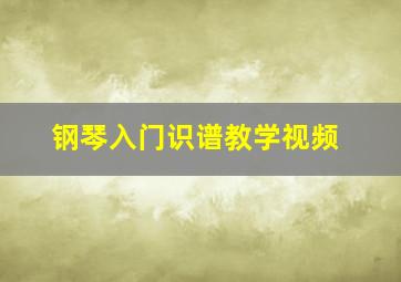 钢琴入门识谱教学视频