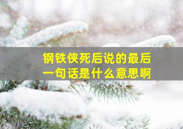 钢铁侠死后说的最后一句话是什么意思啊