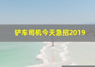 铲车司机今天急招2019