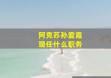 阿克苏孙爱霞现任什么职务