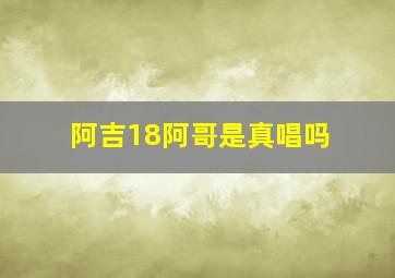 阿吉18阿哥是真唱吗