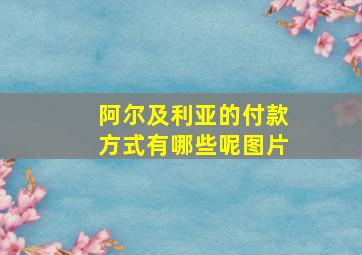 阿尔及利亚的付款方式有哪些呢图片