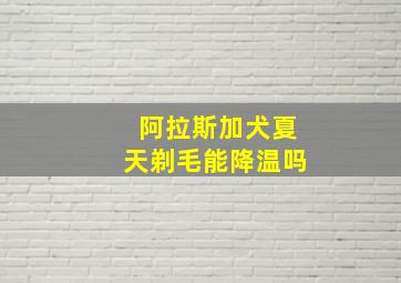 阿拉斯加犬夏天剃毛能降温吗