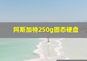 阿斯加特250g固态硬盘