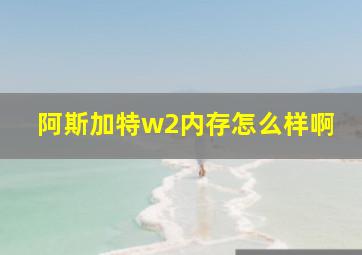 阿斯加特w2内存怎么样啊