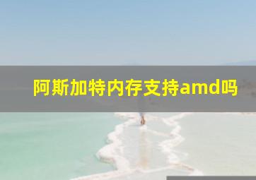 阿斯加特内存支持amd吗