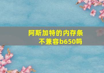 阿斯加特的内存条不兼容b650吗