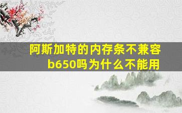 阿斯加特的内存条不兼容b650吗为什么不能用