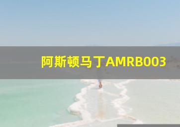 阿斯顿马丁AMRB003