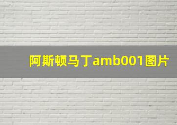 阿斯顿马丁amb001图片