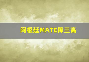 阿根廷MATE降三高