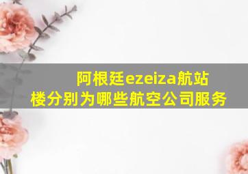 阿根廷ezeiza航站楼分别为哪些航空公司服务