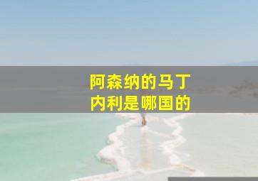 阿森纳的马丁内利是哪国的