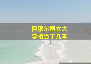 阿穆尔国立大学相当于几本