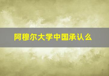 阿穆尔大学中国承认么