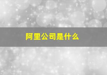 阿里公司是什么