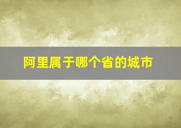 阿里属于哪个省的城市