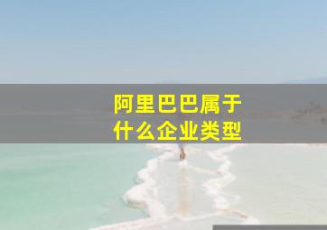 阿里巴巴属于什么企业类型