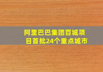 阿里巴巴集团百城项目首批24个重点城市