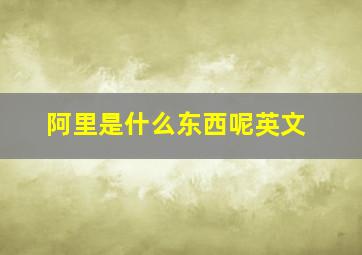 阿里是什么东西呢英文