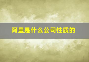 阿里是什么公司性质的