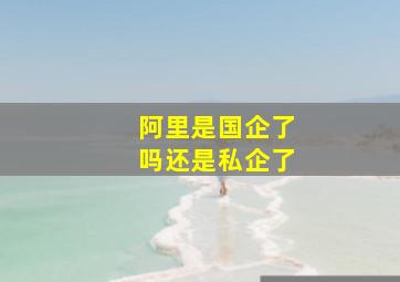 阿里是国企了吗还是私企了