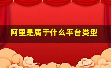 阿里是属于什么平台类型