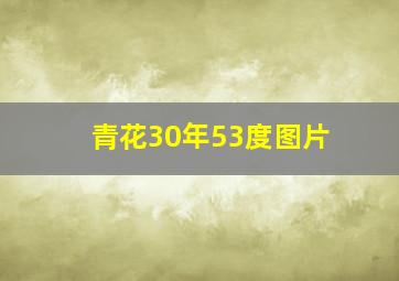 青花30年53度图片