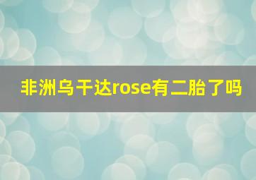 非洲乌干达rose有二胎了吗