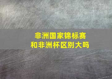 非洲国家锦标赛和非洲杯区别大吗