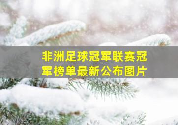 非洲足球冠军联赛冠军榜单最新公布图片