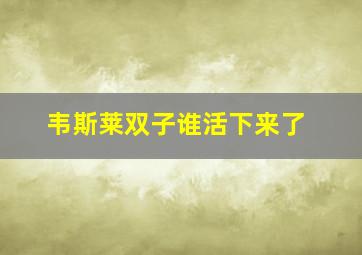 韦斯莱双子谁活下来了