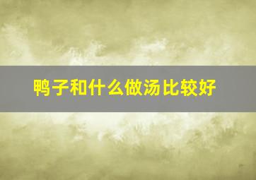 鸭子和什么做汤比较好