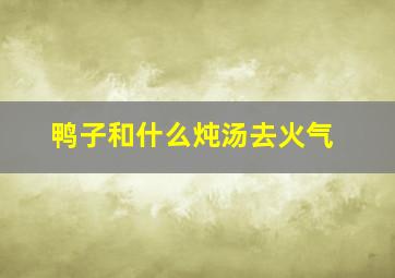 鸭子和什么炖汤去火气