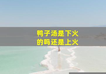 鸭子汤是下火的吗还是上火