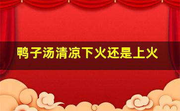 鸭子汤清凉下火还是上火