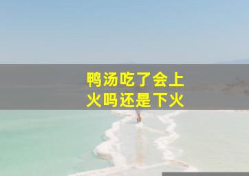 鸭汤吃了会上火吗还是下火