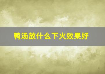 鸭汤放什么下火效果好