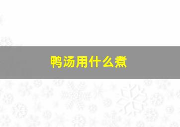 鸭汤用什么煮