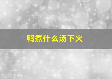 鸭煮什么汤下火