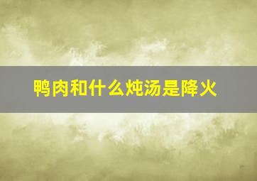 鸭肉和什么炖汤是降火