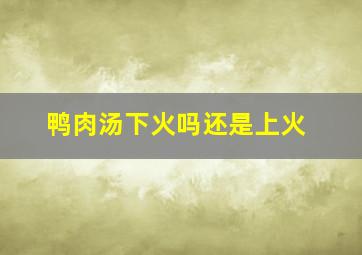 鸭肉汤下火吗还是上火