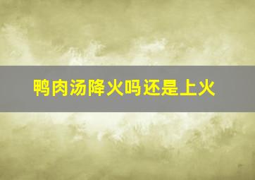 鸭肉汤降火吗还是上火